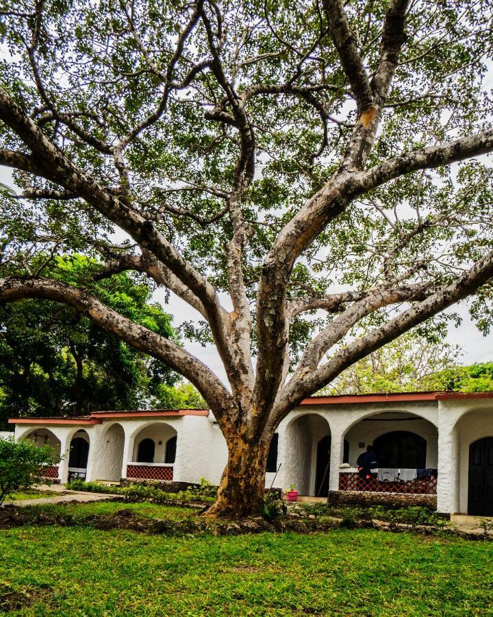 Diani Sea Lodge เดียนีบีช ภายนอก รูปภาพ