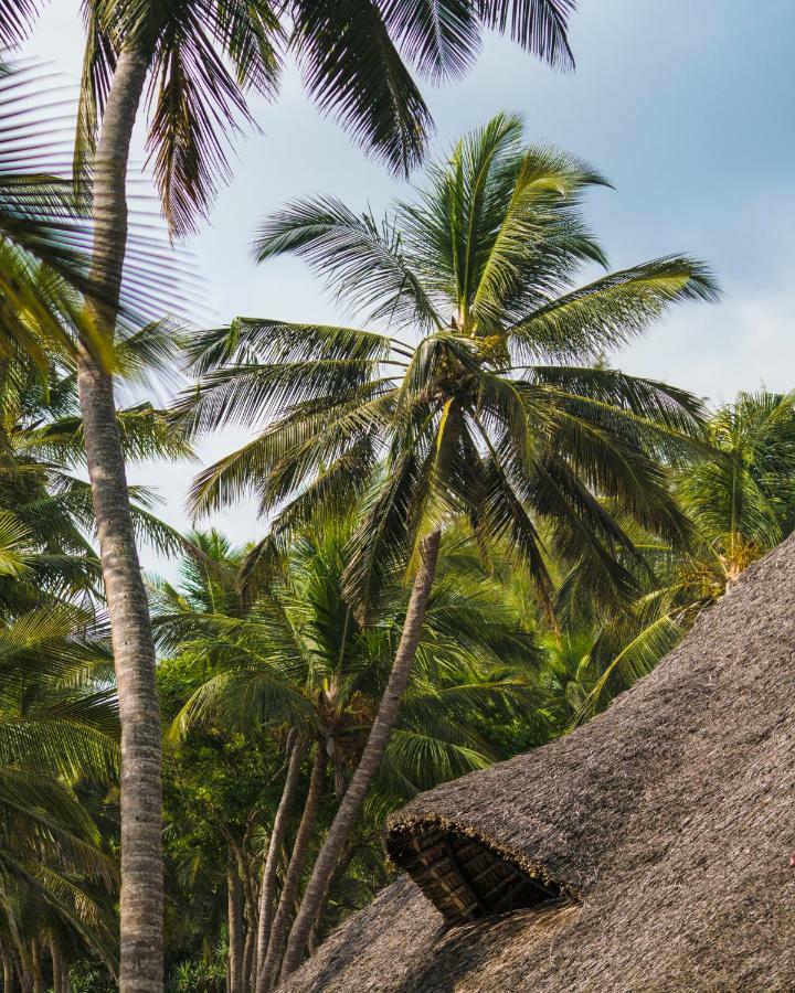 Diani Sea Lodge เดียนีบีช ภายนอก รูปภาพ